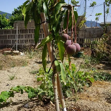 Casa Rural En Tenerife * غيمار